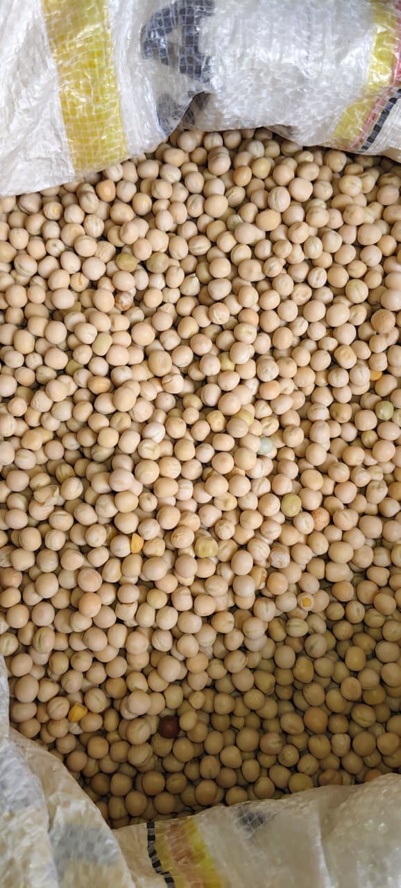 Loose White Peas